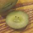 クックZ2UZ4Y☆