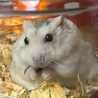 りつきよ☆