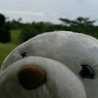 ミオノ