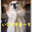 芋一家