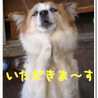 芋一家