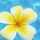 ♪Aloha