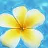 ♪Aloha