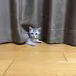 ☆＊☆ゅぅまま☆＊☆