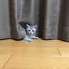 ☆＊☆ゅぅまま☆＊☆