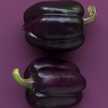 ｈａｎａｅｍａｍ