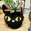 黒猫の散歩