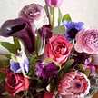 みやこ