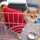 イナズマ☆柴犬