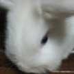 ぽくぽくて