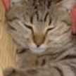 りょんちゃん