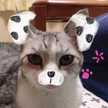 モーちゃんマン