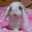 クリーミィ♪saku