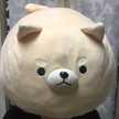 てんてん1号
