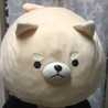 てんてん1号