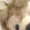 maエnon。* maエnon。*