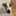 まじょこねこ まじょこねこ