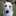 犬っこ 犬っこ