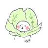 菜の花ちゃん。