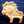 ☆じゃすみん