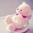 ko_rose