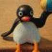 ☆PINGU☆