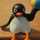 ☆PINGU☆
