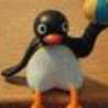 ☆PINGU☆