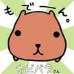 カピG