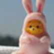 bunnieko