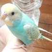 なっちゃんれいちゃん