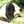 merry♪