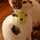 cookie_5 cookie_5