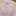 千歳緑 千歳緑