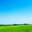 assamT♪