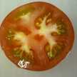 Ｆｌａｍｉｎ