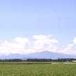 鎌田農場