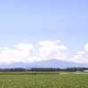 鎌田農場