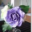 lovelyrok
