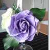 lovelyrok