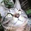 aimer