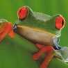 loveglove