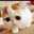 はなはなよこ310