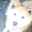 きりんとごまたまご
