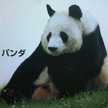 たくもんち