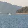 shimacchi