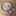 つくし⑮ つくし⑮