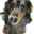 犬鳴和音