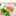 ゆきぴクック ゆきぴクック