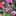 SASHIMIママ SASHIMIママ
